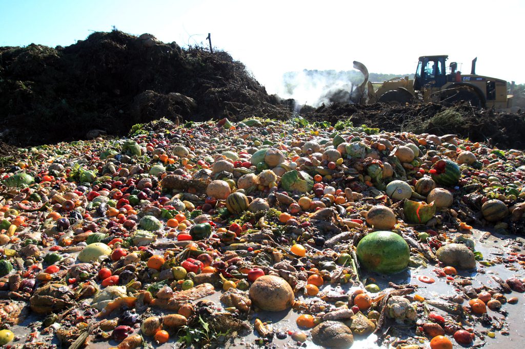 Food Loss and Waste Accounting and Reporting Standard