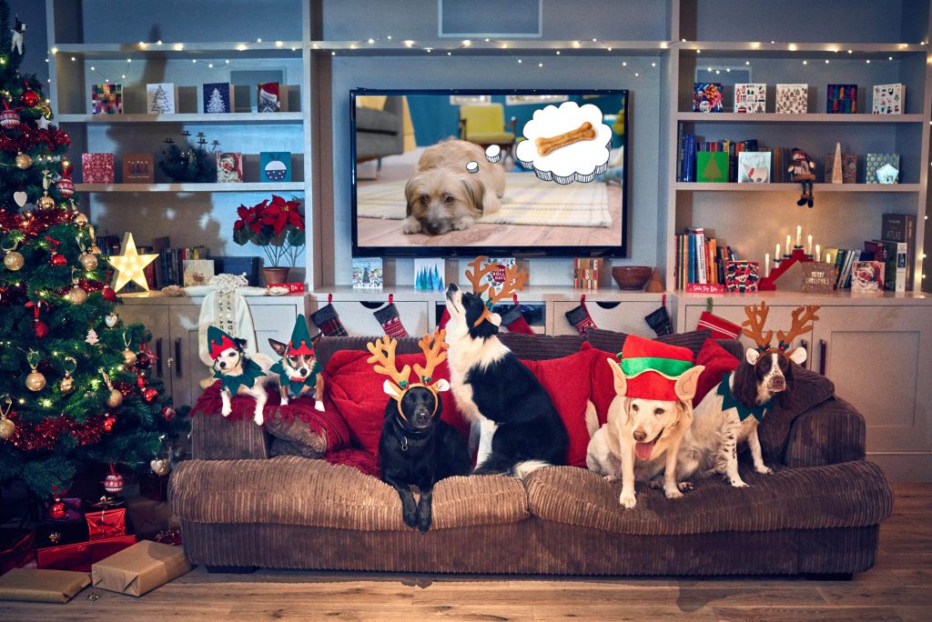 Louis Walsh Narrates New Canine Christmas Movie