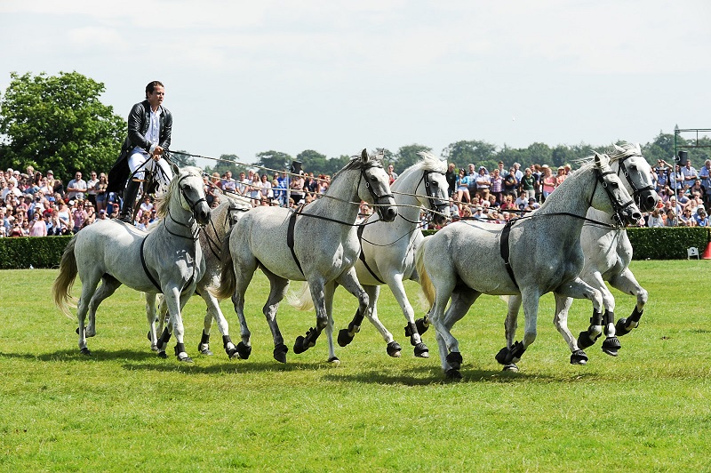 The Great Yorkshire Show Plans 160th Event
