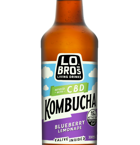 Lo Bros Launches CBD Kombucha and Gut Shots