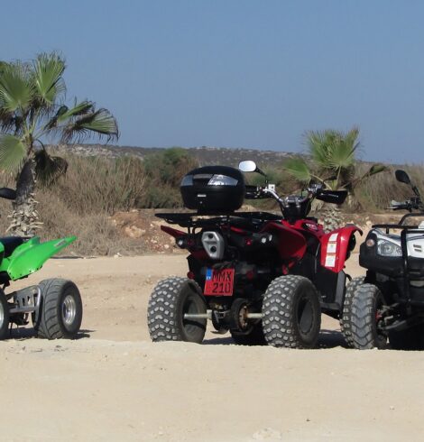 The Best ATV Brands On The Market: A Brief Review