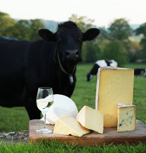 Cheese Journeys 2023