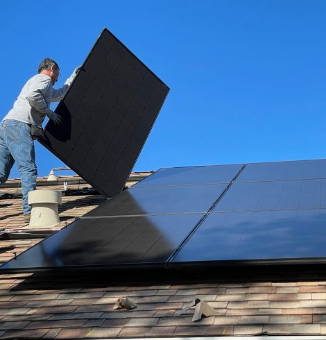 Renewable Energy Revolution Faces Feathered Foe: Protecting Solar Panels from Pigeon Peril