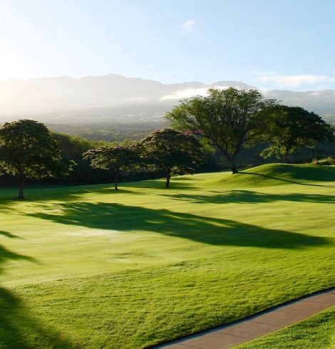 Golf Club Selection: Enhancing Your Game with the Right Tools