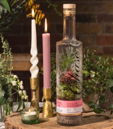 CHASE DISTILLERY LAUNCHES LIMITED EDITION VODKA BOTTLE  TERRARIUMS JUST IN TIME FOR CHRISTMAS