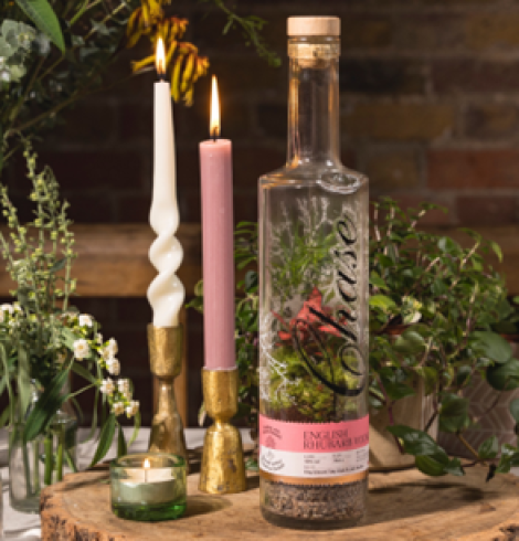 CHASE DISTILLERY LAUNCHES LIMITED EDITION VODKA BOTTLE  TERRARIUMS JUST IN TIME FOR CHRISTMAS
