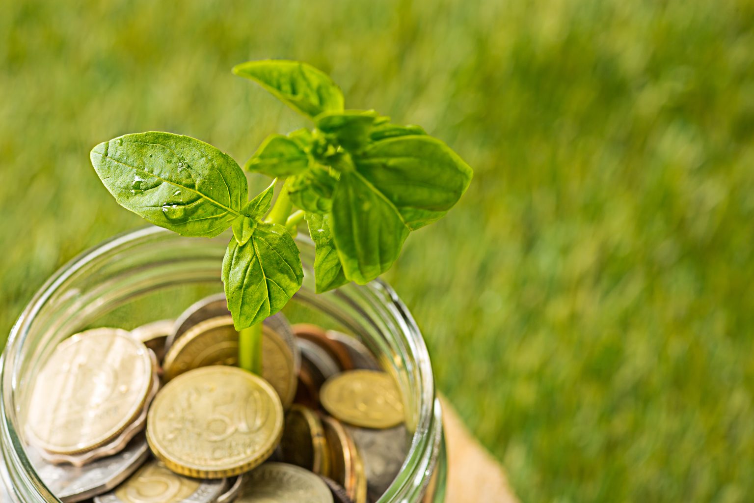Investment Strategy