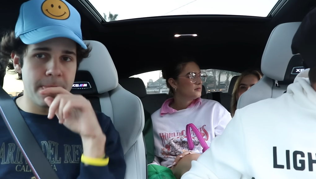 David Dobrik Girlfriend David Dobrik Girlfriend